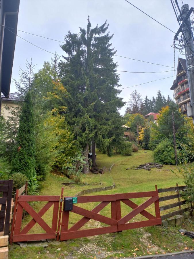 Apartament Aosta Central Sinaia Apartman Kültér fotó